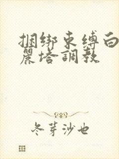 捆绑束缚白丝洛丽塔调教