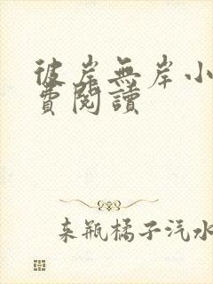 彼岸无岸小说免费阅读