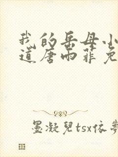 我的岳母小说林道唐雨菲免费阅读