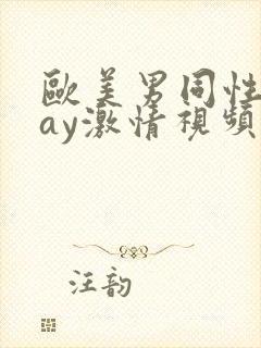 欧美男同性恋gay激情视频