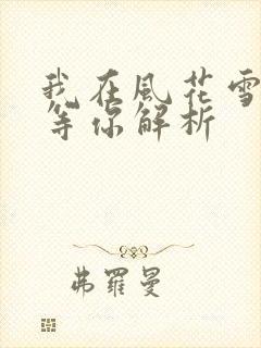 我在风花雪月里等你解析封面