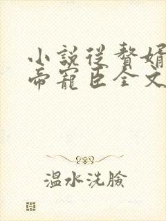 小说从赘婿到女帝宠臣全文