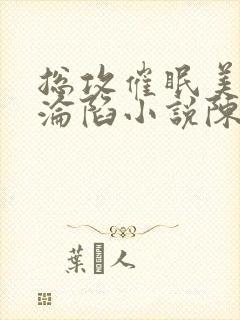 总攻催眠美人的沦陷小说陈楚敬