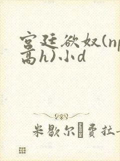 宫廷欲奴(np高h)小d