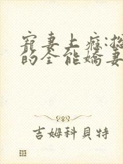 宠妻上瘾:总裁的全能娇妻