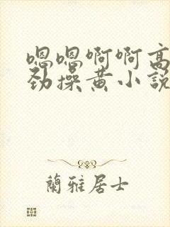 嗯嗯啊啊高潮使劲操黄小说