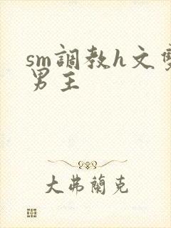 sm调教h文双男主