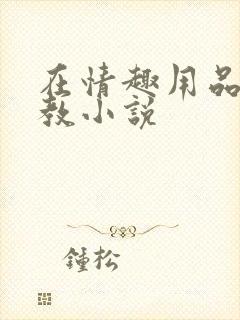 在情趣用品店调教小说封面