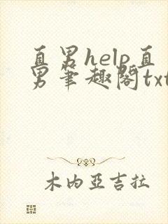 直男help直男笔趣阁txt下载