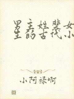 男主姓裴女主重生的古代小说