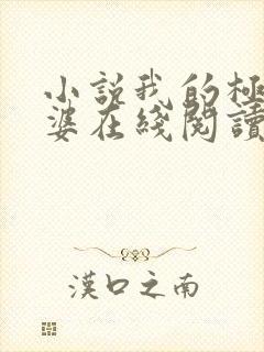 小说我的极品老婆在线阅读