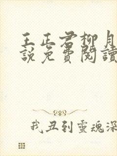 王正君柳月瑶小说免费阅读最新章节