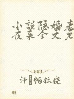 小说隐婚老公深夜来全文免费阅读