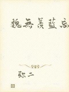 魏无羡蓝忘机h