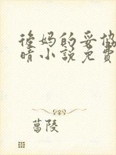 后妈的妥协陈雅晴小说免费阅读