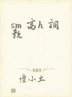 sm 高h 调教封面