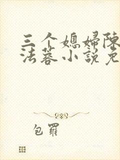 三个媳妇陈红陈法蓉小说免费阅读全