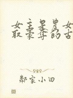 女主是农女被强取豪夺的古言封面