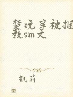 楚晚宁被捆绑调教sm文