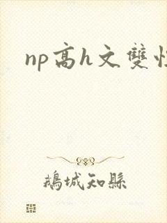 np高h文双性