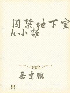 囚禁地下室调教h小说封面