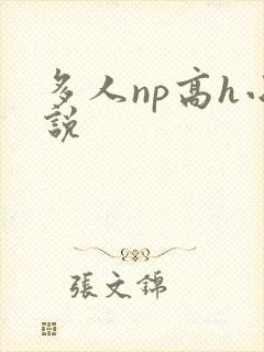 多人np高h小说