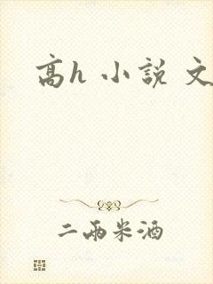 高h 小说 文