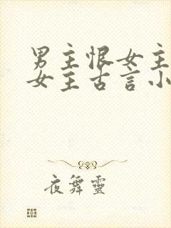 男主恨女主报复女主古言小说