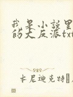 我是小说里共同的大反派txt