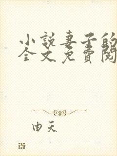 小说妻子的秘密全文免费阅读全文