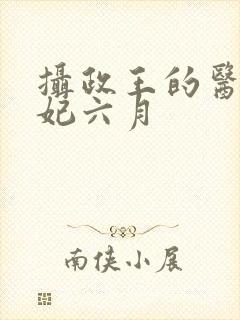 摄政王的医品狂妃六月封面