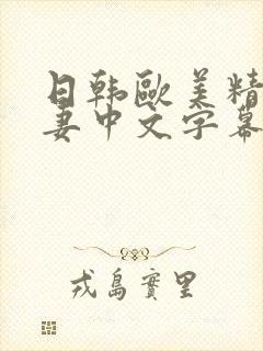 日韩欧美精品人妻中文字幕