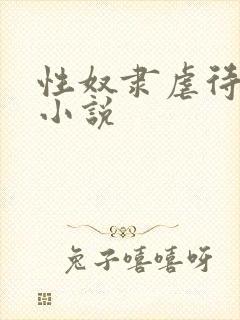 性奴隶虐待调教小说