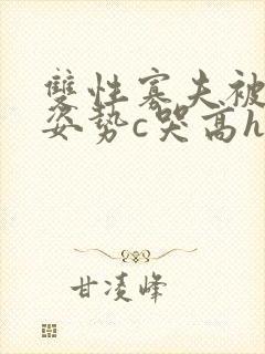 双性寡夫被各种姿势c哭高h小说