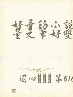 好看的小说高质量文笔好双男主