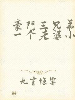 豪门三兄弟共用一个老婆小说