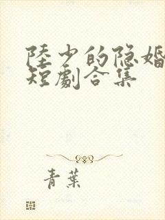 陆少的隐婚罪妻短剧合集