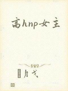 高hnp女主