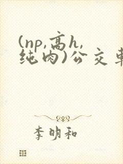 (np,高h,纯肉)公交车群p