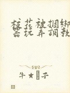 校花被捆绑用性器玩弄调教小说封面