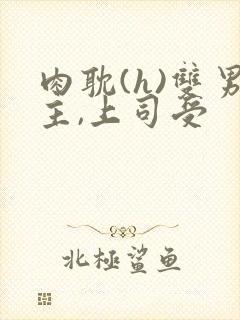 肉耽(h)双男主,上司受