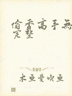 偷香高手无删减完整