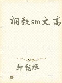 调教sm文高h