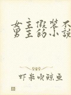 女主假装不认识男主的小说