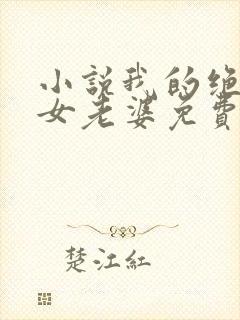 小说我的绝色美女老婆免费阅读