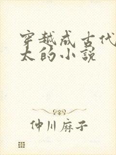 穿越成古代老太太的小说