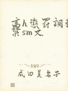 高h惩罚调教囚禁sm文