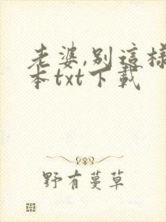 老婆,别这样全本txt下载