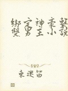 绑定神豪系统的双男主小说