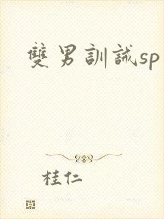 双男训诫sp